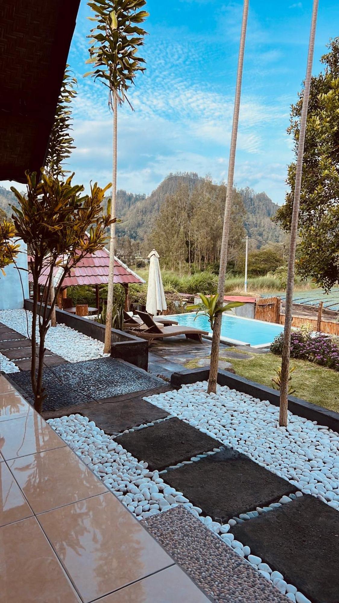 Bukit Catu Bungalows Kintamani Exteriér fotografie